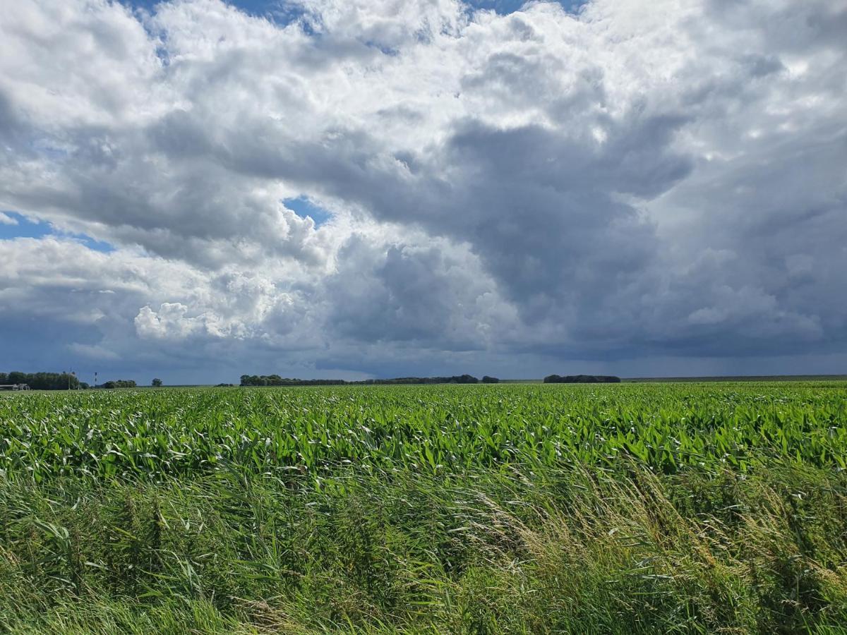 Moewennest Tossens Exterior foto